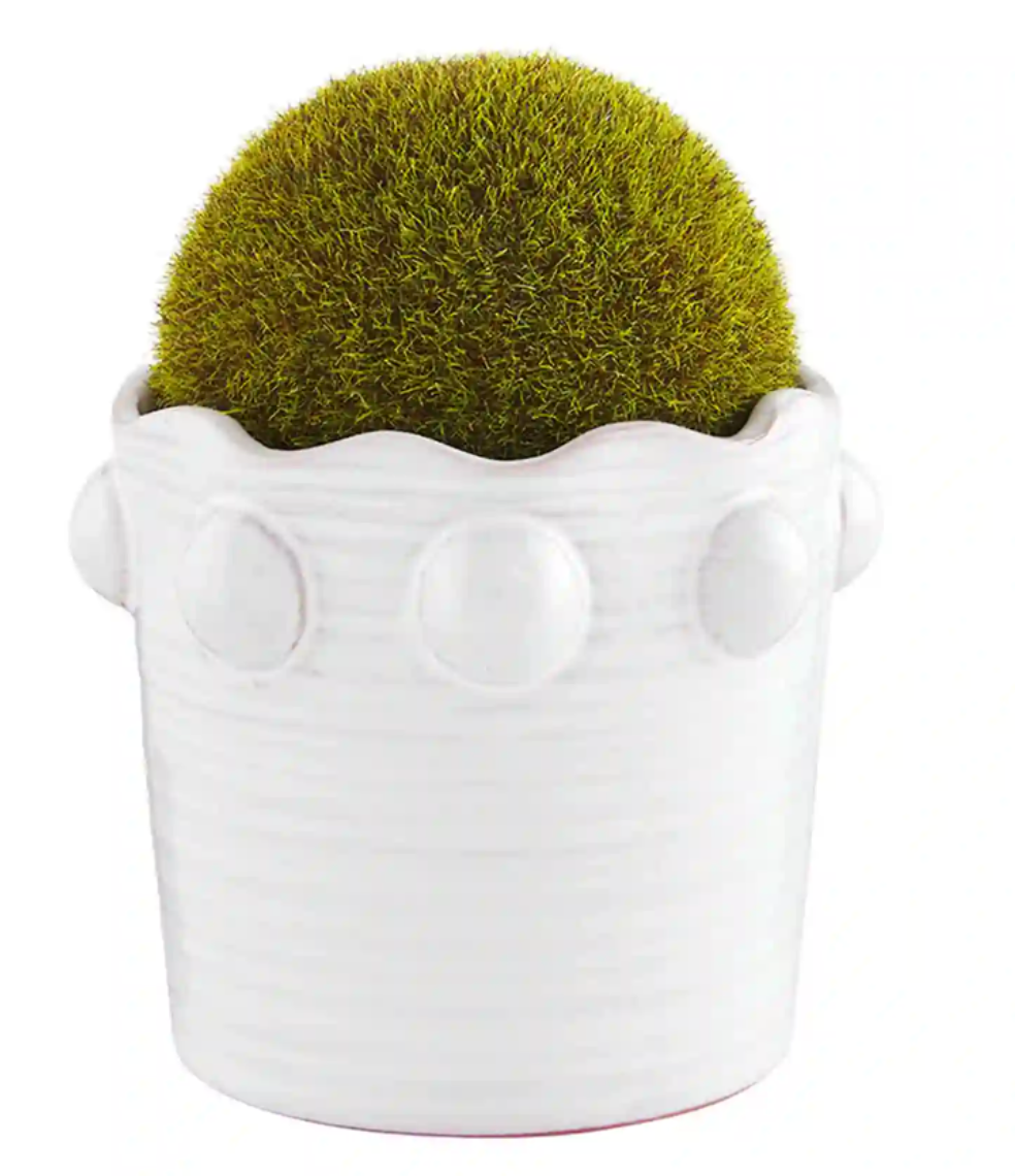 kmart plant pot Mud Pie Small Moss Beaded Pot